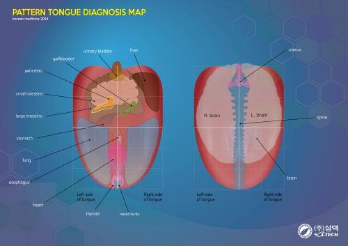 설진 진단도 - Pattern Tongue Diagnosis Map