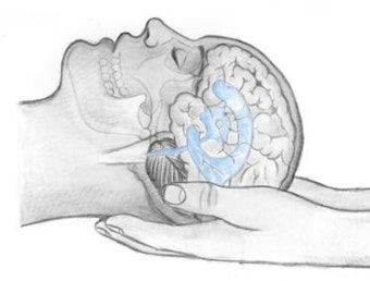 두개골비강추나치료